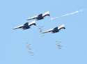 kf-16-fighter-jets-drop-bombs-on-nigger-target.jpg