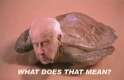 tumblr_mcymllS3Me1qg39ewo1_500.gif