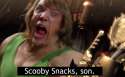shaggy.png