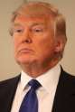 donald.jpg