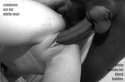 691_1000.jpg