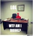 real-life-spider-man-meme_o_821392.jpg