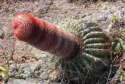 cid_10_3401905812web82815_mail_mud_.jpg