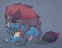 1439788464.jetshark_zoroarklucario.png