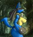 Lucario169.png