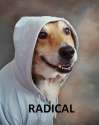 raaaad.jpg