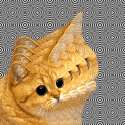 LSDcat.gif