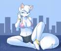 b666a649ff5fb4ec098d1c7b367ba048.png