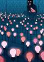 light bulbous.jpg
