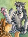 Furry Yiffy 1452290932339.jpg