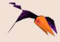 zfgToucan.png