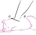 pinis.png