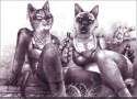 201_1344296569.bubblewolf_bubblewolfobanupload.jpg