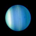 opo0647b.jpg
