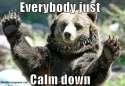 everybody-just-calm-down.jpg