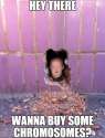 buy a chromosome.jpg