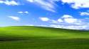 winxp.jpg