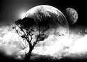 art-black-and-white-clouds-moon-tree-Favim.com-358714.jpg