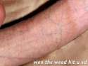 07d78100FkAg2.jpg