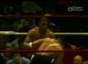 tyson.gif