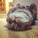 Meow M.o.uch.jpg