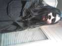 20160306_200346.jpg