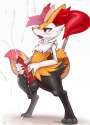 Braixen18.png