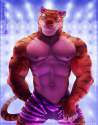 1457268987.anhes_tiger_dancer_fa.jpg