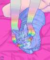 tumblr_nnqnnfwl3C1sgw7hlo1_500.gif