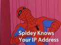 IP.jpg