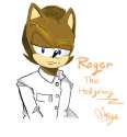hedgehog aids.jpg