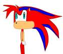 joe_the_hedgehog_refrence_by_sonamy800.png