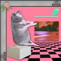 aesthetic.jpg