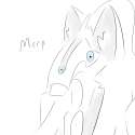 New Canvas.png