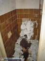 lustiges_bild_verstopfte-toilette.jpg