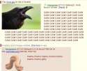 fd758d63db0bf13f4c776c565e13b60d9f483a9d6b3cc1fb273770cf6b580b38_1.jpg