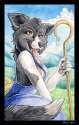 61_1356383029.olven_olv_mini_bordercollie.jpg