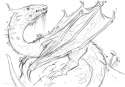 MushroomDragon.png