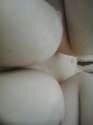 IMG-20140926-WA0002.jpg
