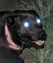 1433989732074s.jpg