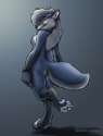 6_1147427718.moonstalker_bloo-colors.jpg