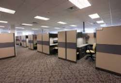 office.jpg