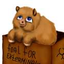 26435___artist_artist_kun_cute_impending_death_one_more_day_one_more_foal_safe.png