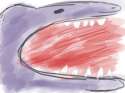 shark.png