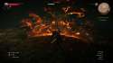 witcher3 2015-12-27 11-37-06-134.png