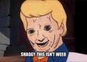 1451032162696.jpg