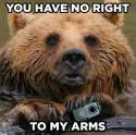 BearArms.png