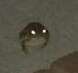 lilfrog.jpg