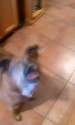 ^14AA5ACE40EDC4A0CDCA266CF6C6DDBFFE1EFB1F667BDD9E0D^pimgpsh_fullsize_distr.jpg