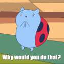 1367132521746.gif